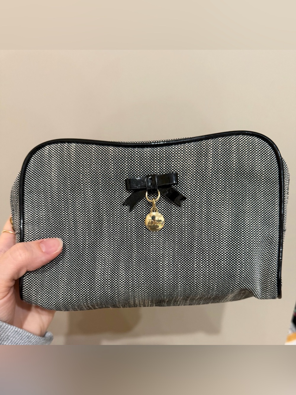 DIOR pouch